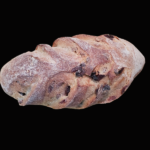 Miche pacanes et canneberges_solutiongourmande_1